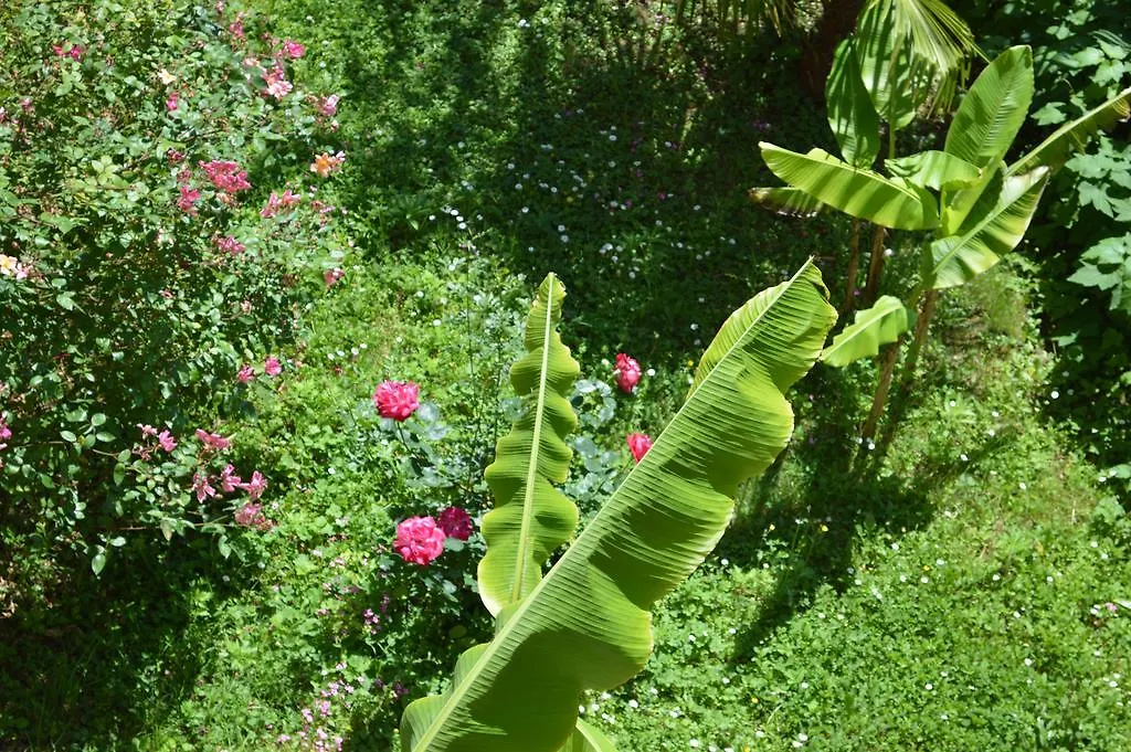 Palm Garden Home Οπατία